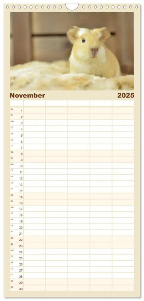 Bild: 9783457102923 | Familienplaner 2025 - Familienplaner BABY Meerschweinchen Traumhaft...
