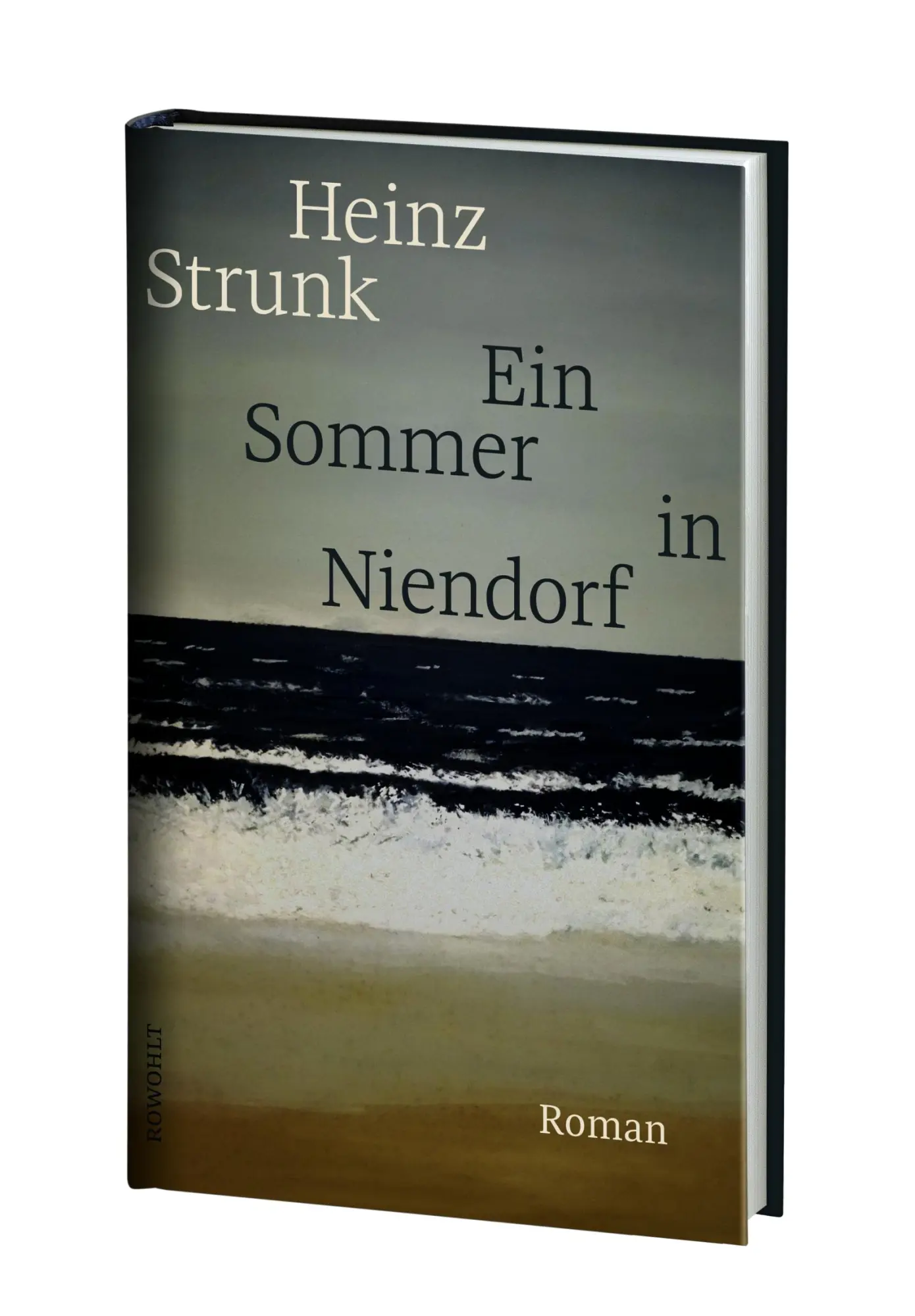 Bild: 9783498002923 | Ein Sommer in Niendorf | Roman SPIEGEL Bestseller Platz 1 | Strunk