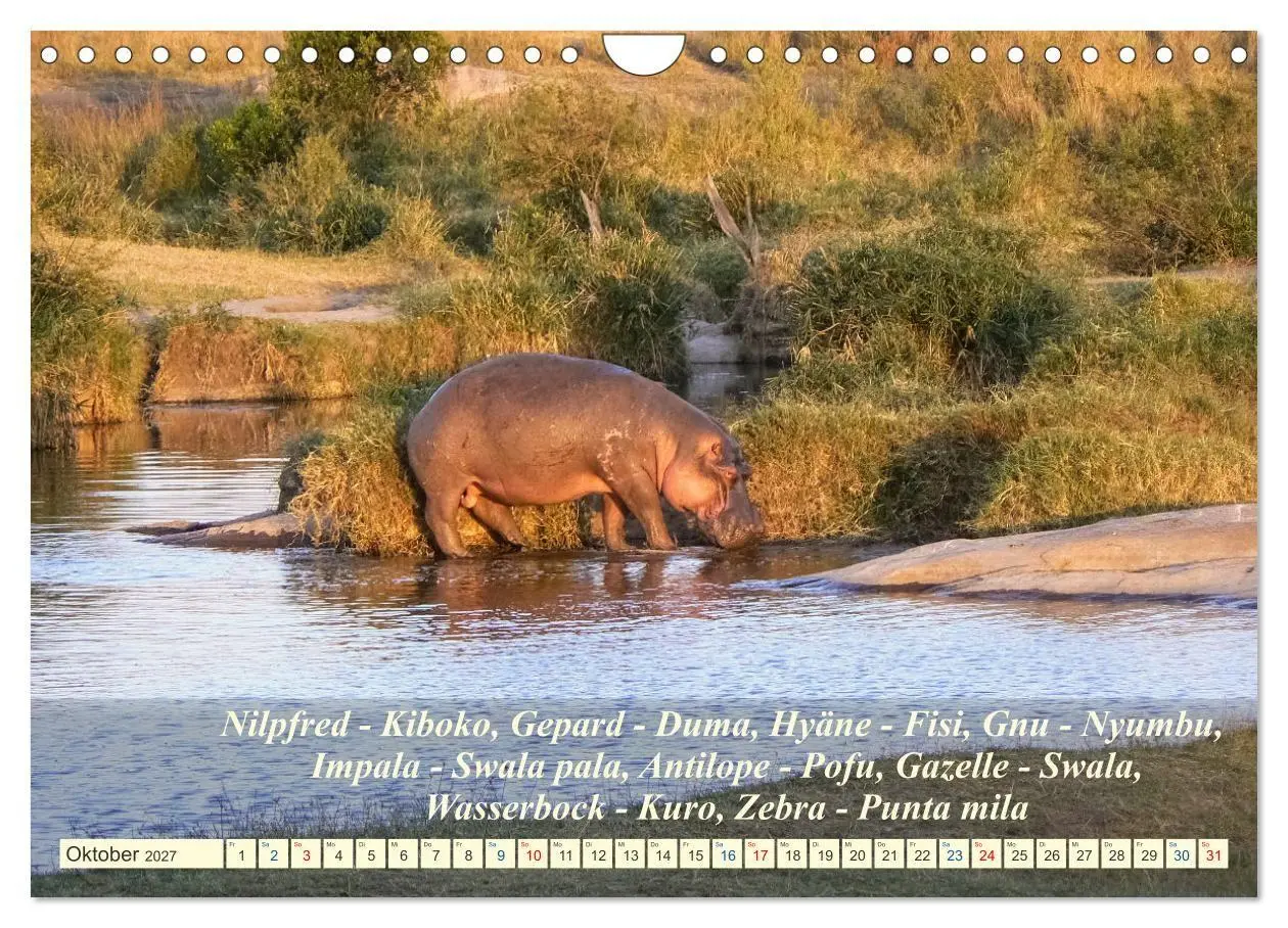 Bild: 9783569522923 | Jambo Kenya (Wandkalender 2027 DIN A4 quer), CALVENDO Monatskalender
