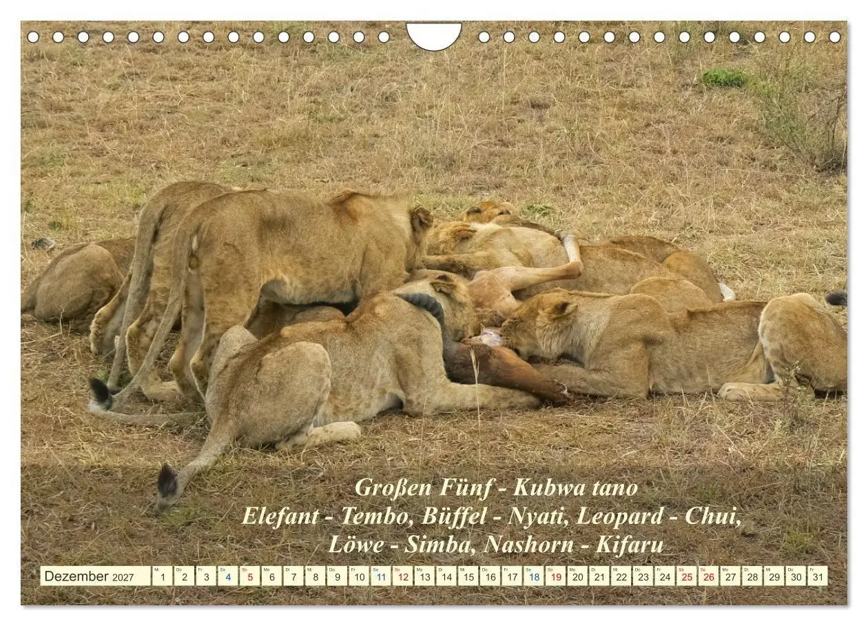 Bild: 9783569522923 | Jambo Kenya (Wandkalender 2027 DIN A4 quer), CALVENDO Monatskalender
