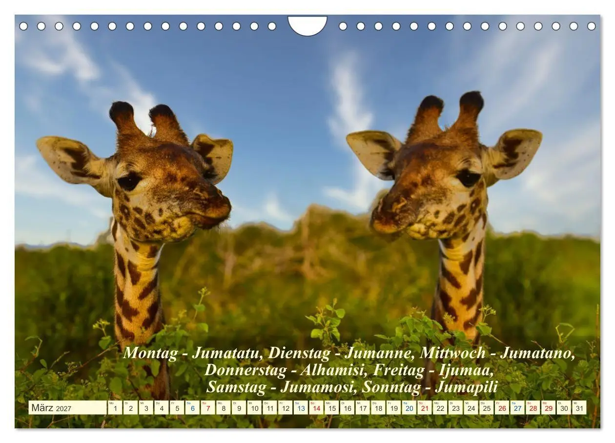 Bild: 9783569522923 | Jambo Kenya (Wandkalender 2027 DIN A4 quer), CALVENDO Monatskalender