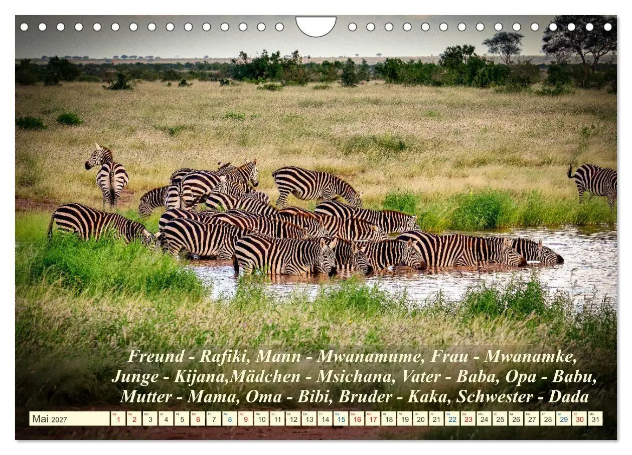 Bild: 9783569522923 | Jambo Kenya (Wandkalender 2027 DIN A4 quer), CALVENDO Monatskalender