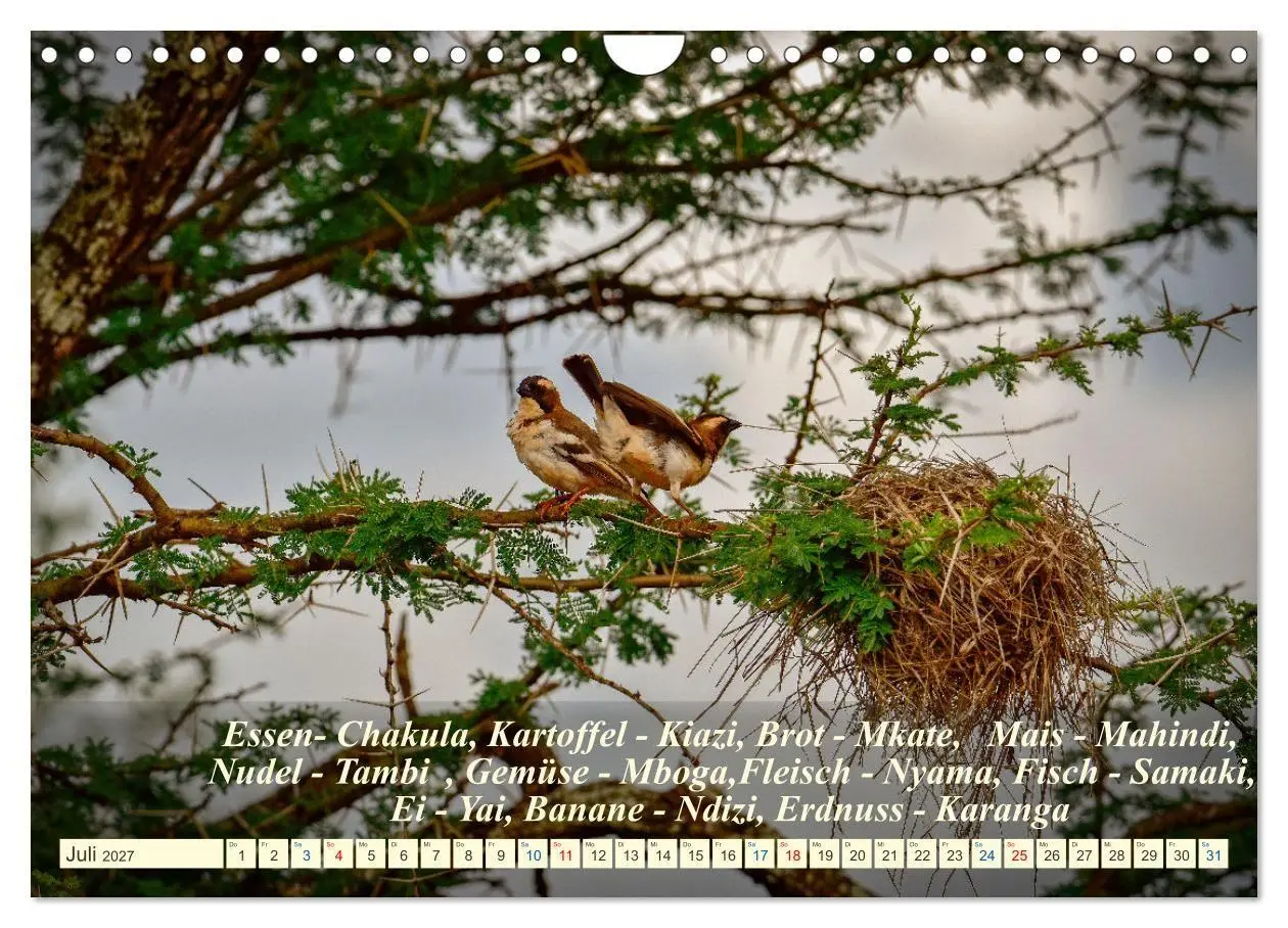Bild: 9783569522923 | Jambo Kenya (Wandkalender 2027 DIN A4 quer), CALVENDO Monatskalender
