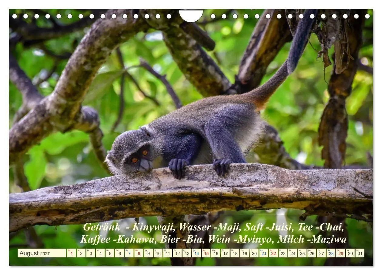 Bild: 9783569522923 | Jambo Kenya (Wandkalender 2027 DIN A4 quer), CALVENDO Monatskalender
