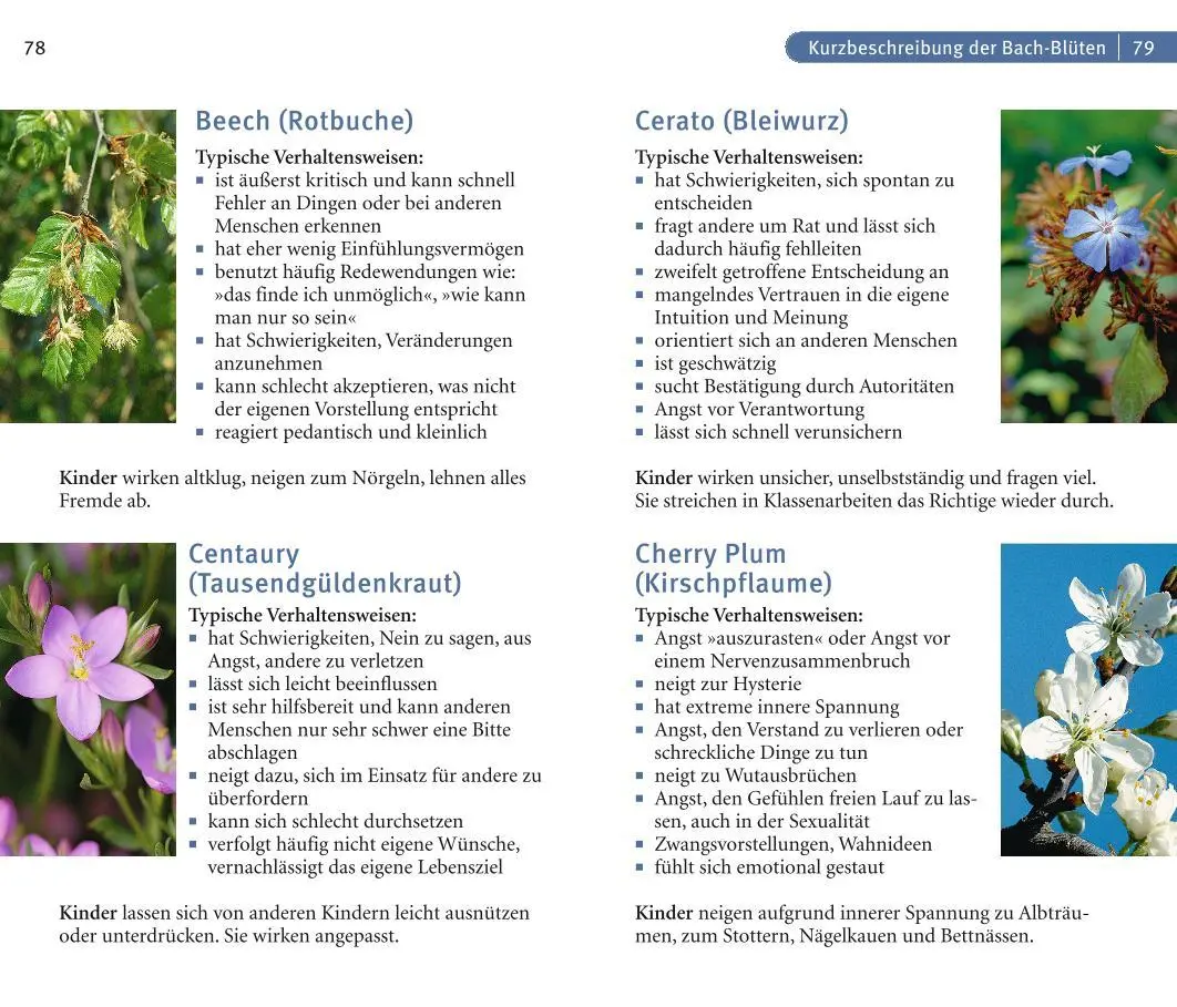 Bild: 9783833852923 | Bach-Blüten | Sanfte Selbsthilfe für innere Harmonie | Sigrid Schmidt