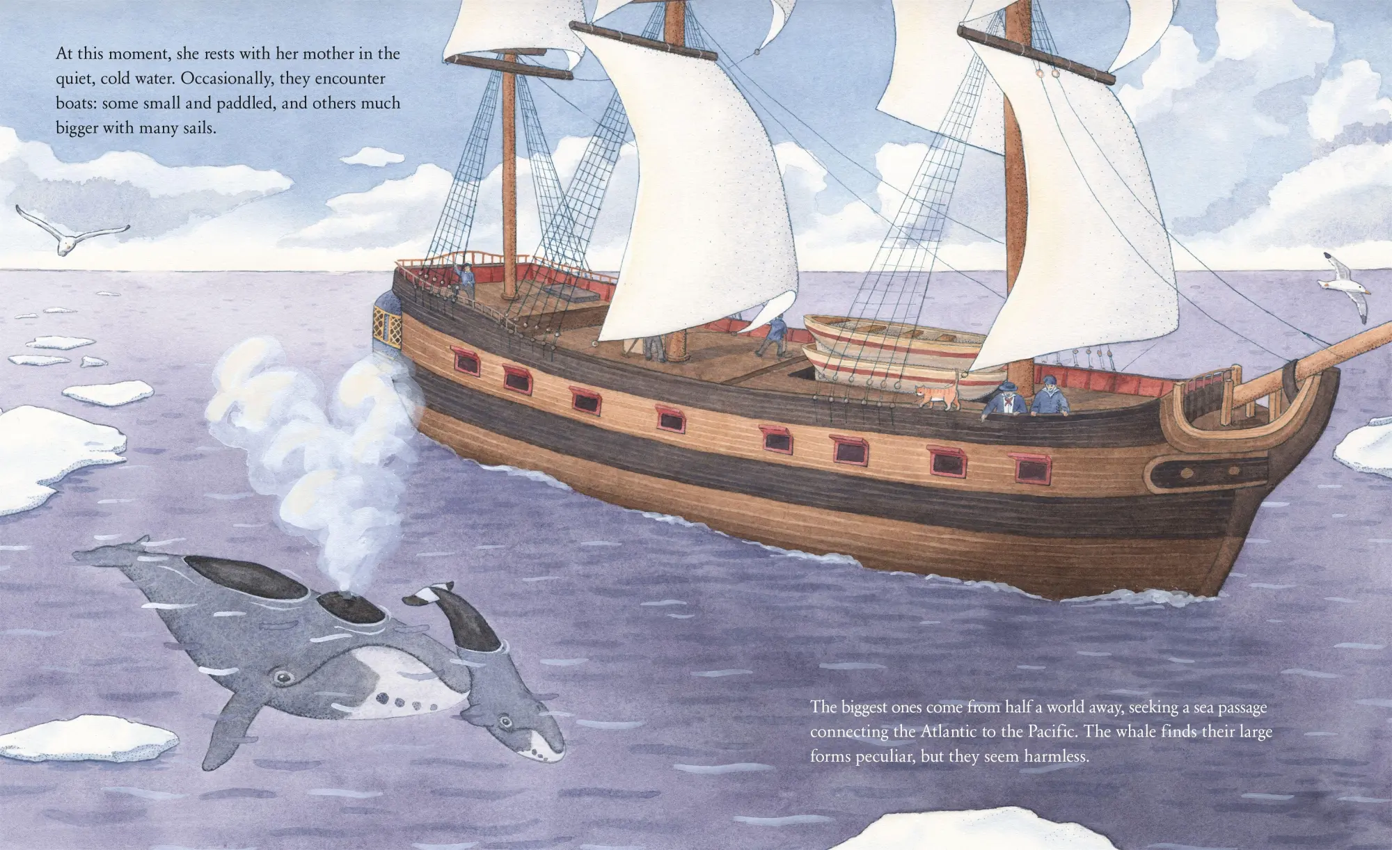 Bild: 9781250803023 | The Whale Who Swam Through Time | Alex Boersma (u. a.) | Buch | 2022