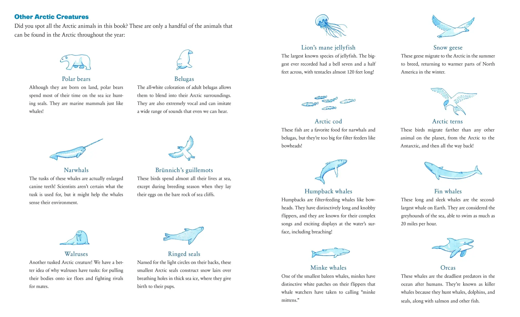 Bild: 9781250803023 | The Whale Who Swam Through Time | Alex Boersma (u. a.) | Buch | 2022