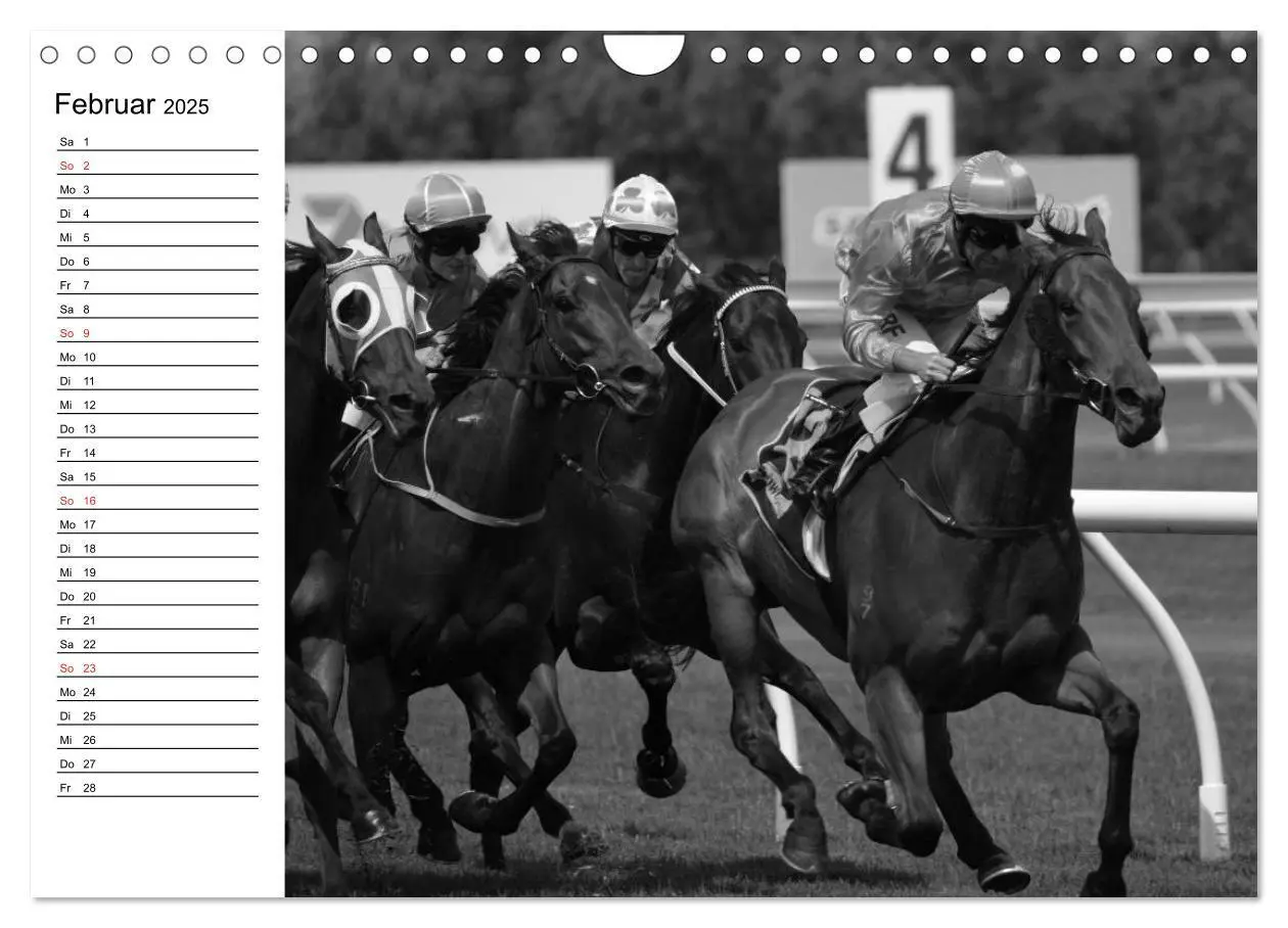 Bild: 9783435523023 | Leidenschaft Pferdesport - Impressionen (Wandkalender 2025 DIN A4...
