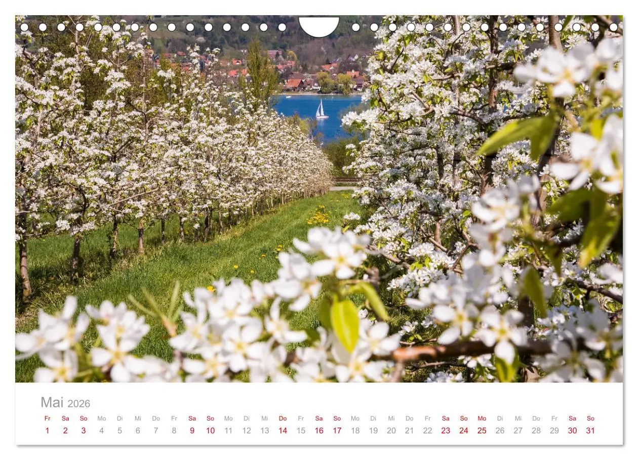 Bild: 9783457783023 | BODENSEE Drei Länder - ein See (Wandkalender 2026 DIN A4 quer),...