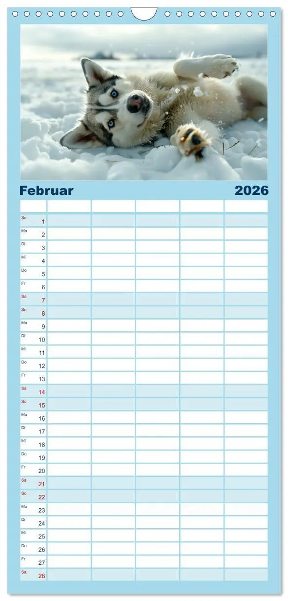 Bild: 9783516493023 | Familienplaner 2026 - Schlittenhund Träume mit 5 Spalten...