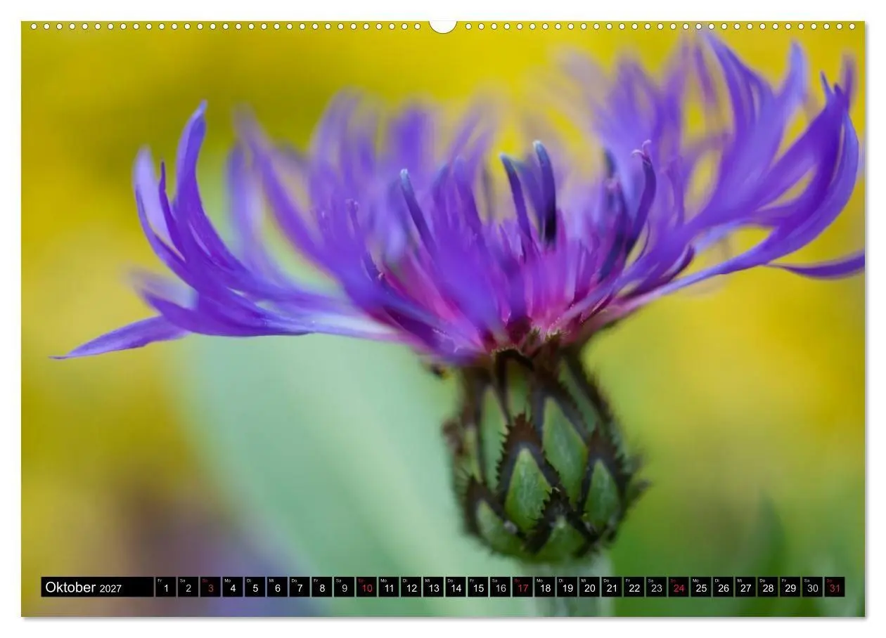 Bild: 9783594093023 | BLUMEN Zauber der Farben und Formen (hochwertiger Premium...