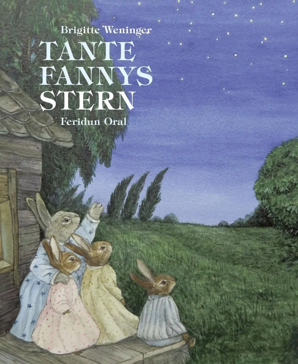 Cover: 9783865663023 | Tante Fannys Stern | Wenn Kinder dem Tod begegnen | Brigitte Weninger