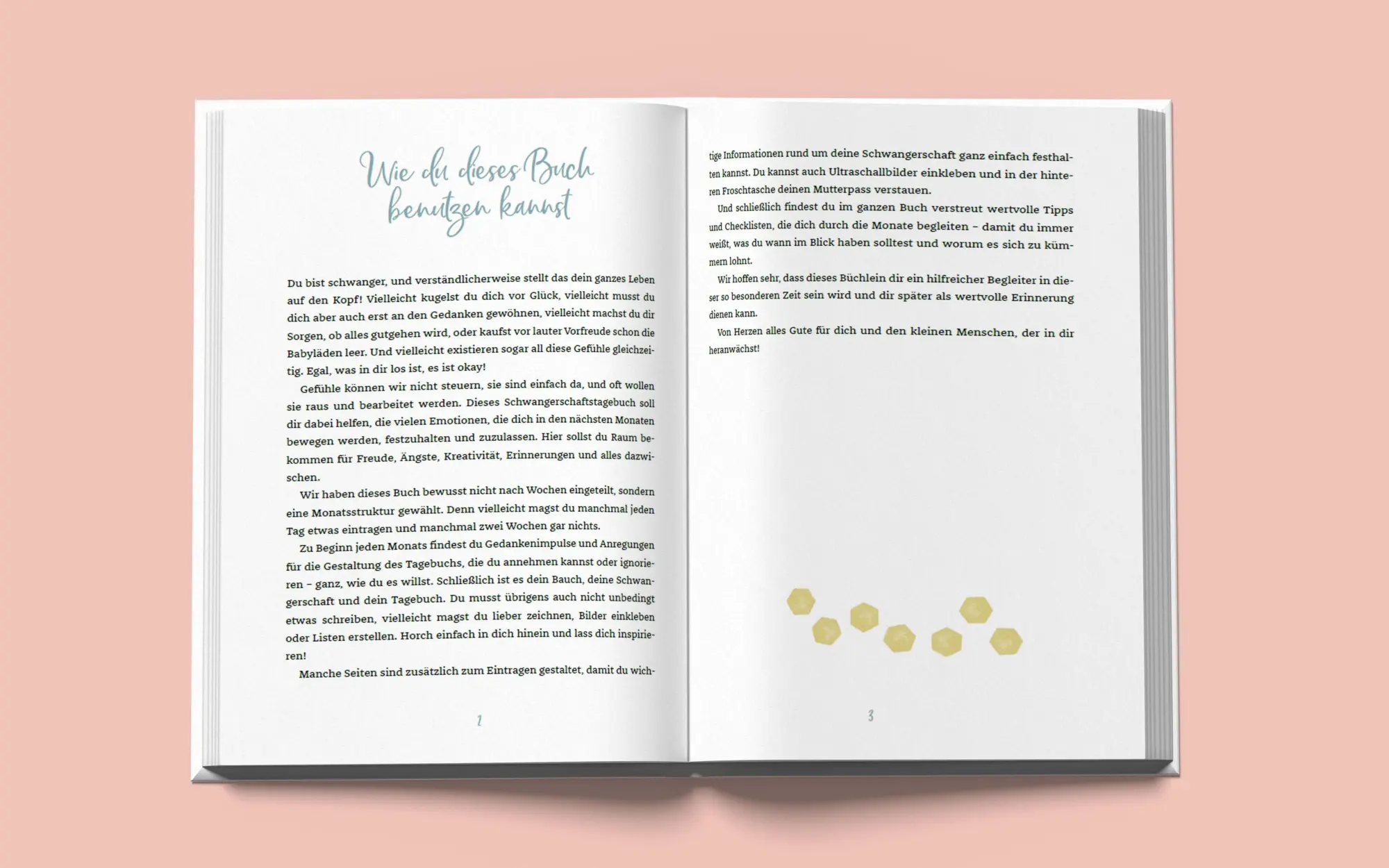 Bild: 9783517303123 | Das unkitschige Schwangerschaftstagebuch (Punkte-Edition) | Buch