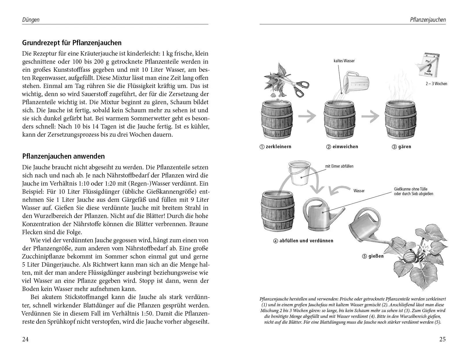 Bild: 9783895663123 | Beinwelljauche, Knoblauchtee &amp; Co. | Natalie Faßmann | Buch | 160 S.