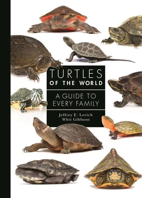 Cover: 9780691223223 | Turtles of the World | A Guide to Every Family | Lovich (u. a.) | Buch Cover: 9780691223223 | Turtles of the World | A Guide to Every Family | Lovich (u. a.) | Buch