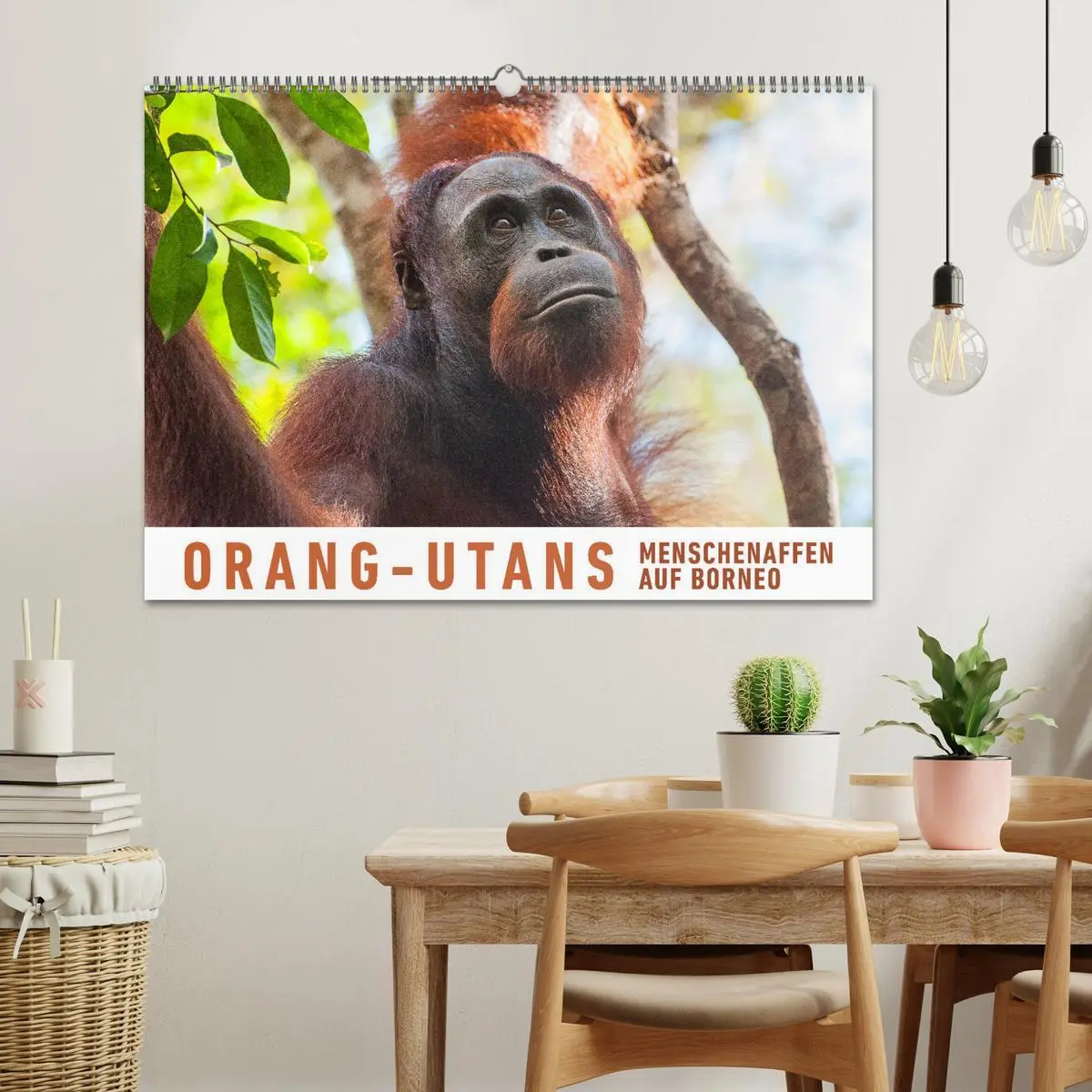 Bild: 9783457833223 | Orang-Utans Menschenaffen auf Borneo (Wandkalender 2026 DIN A2...