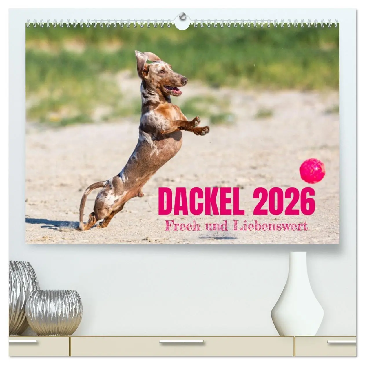 Cover: 9783516163223 | DACKEL 2026 Frech und Liebenwert (hochwertiger Premium Wandkalender...