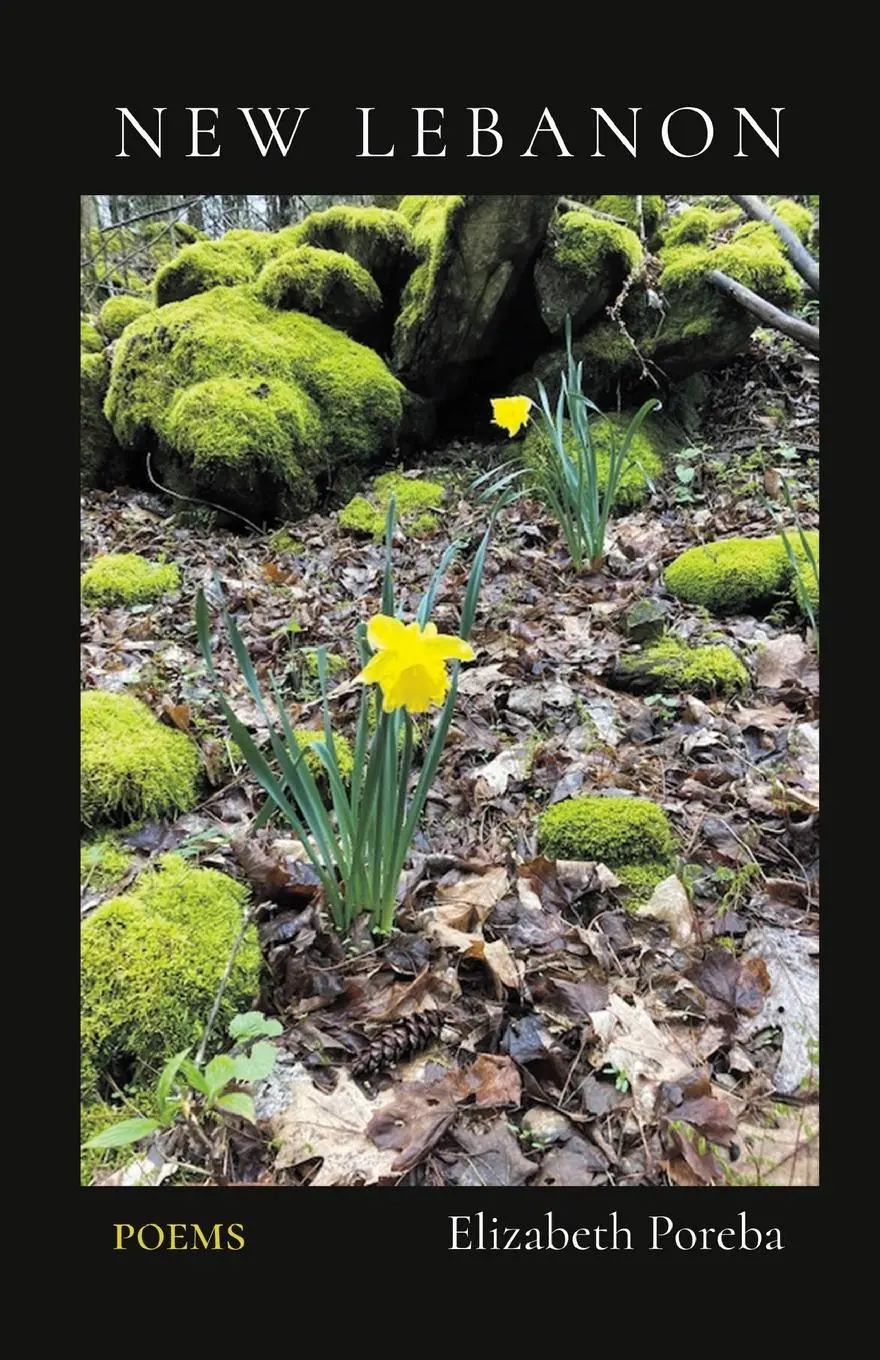Cover: 9798888383223 | New Lebanon | Elizabeth Poreba | Taschenbuch | Englisch | 2023