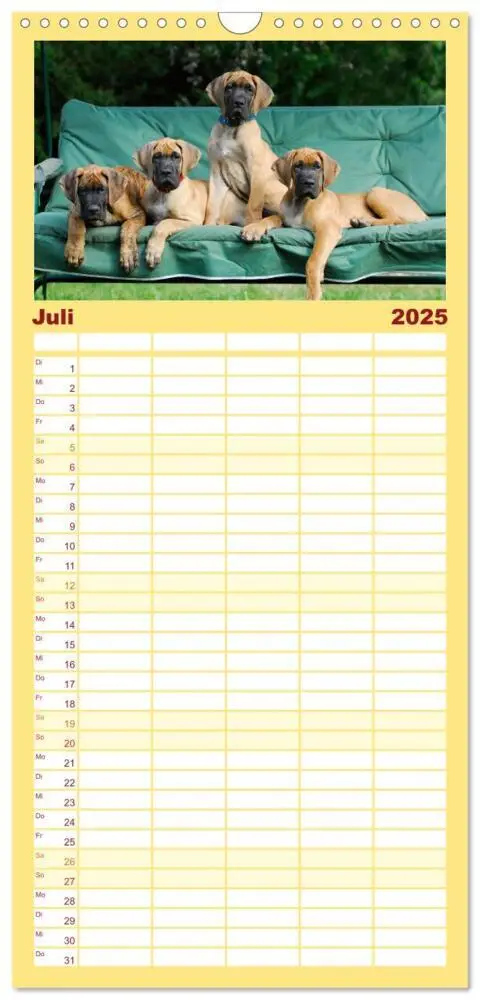 Bild: 9783457113523 | Familienplaner 2025 - Deutsche Dogge mit 5 Spalten (Wandkalender,...