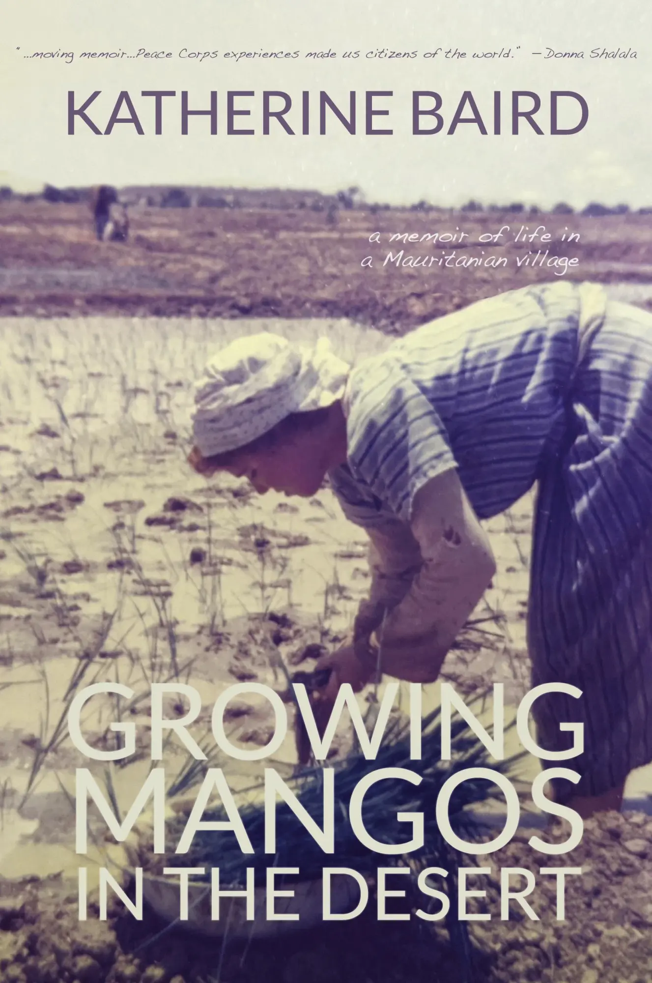 Cover: 9781627203623 | Growing Mangos in the Desert | Katherine Baird | Taschenbuch | 2022 Cover: 9781627203623 | Growing Mangos in the Desert | Katherine Baird | Taschenbuch | 2022