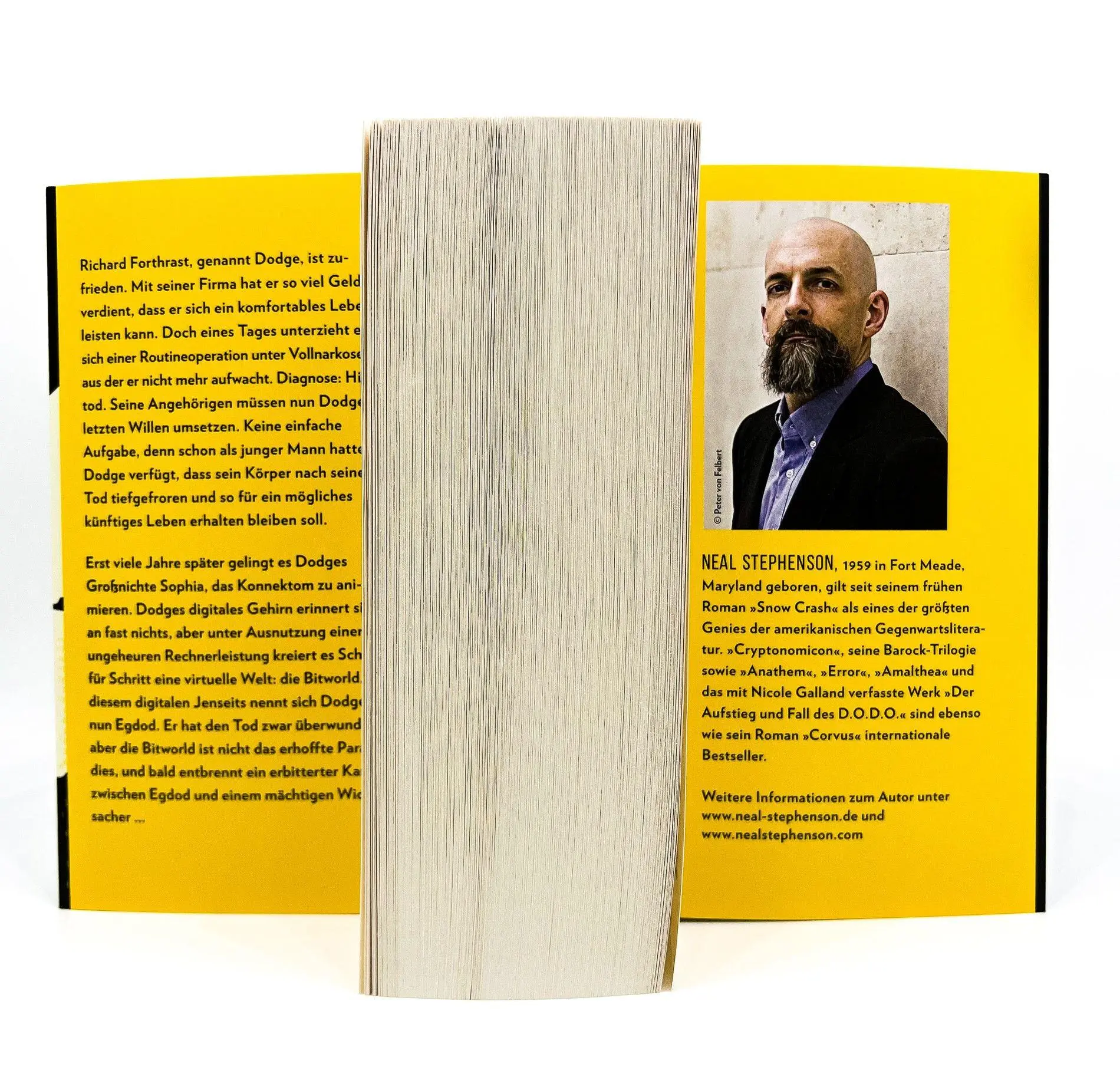 Bild: 9783442493623 | Corvus | Roman | Neal Stephenson | Taschenbuch | 1152 S. | Deutsch