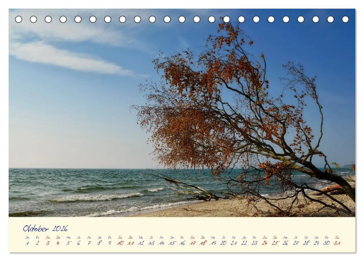Bild: 9783457413623 | OSTSEEGLÜCK - Glücksmomente auf dem Darß (Tischkalender 2026 DIN A5...