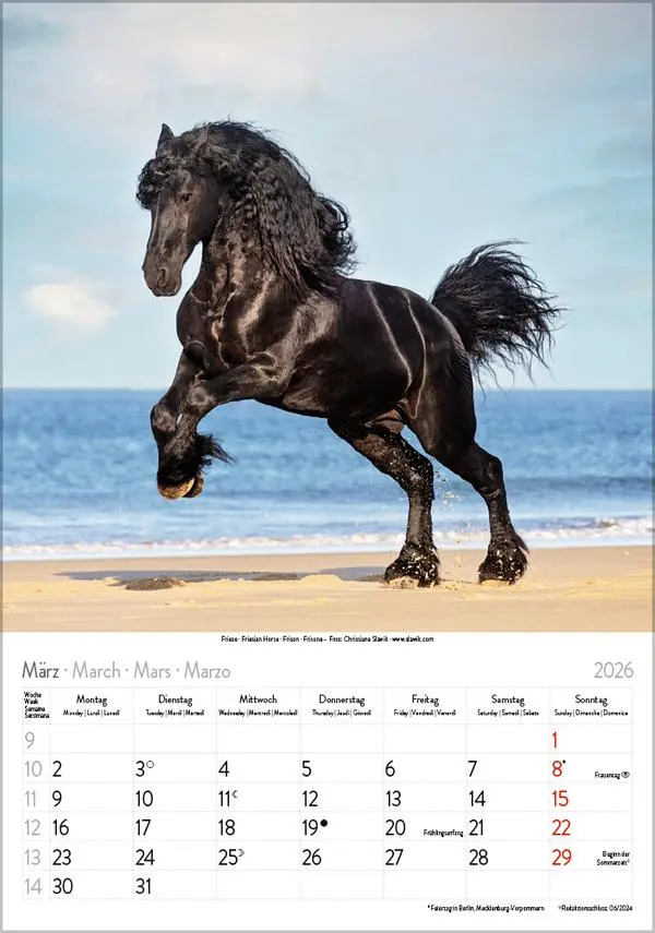 Bild: 9783731883623 | Pferde 2026 | Verlag Korsch | Kalender | Spiralbindung | 13 S. | 2026