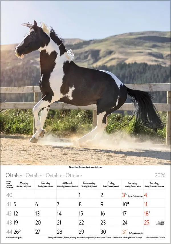 Bild: 9783731883623 | Pferde 2026 | Verlag Korsch | Kalender | Spiralbindung | 13 S. | 2026