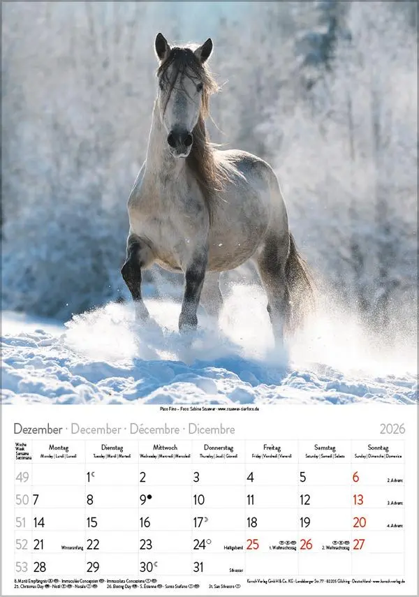 Bild: 9783731883623 | Pferde 2026 | Verlag Korsch | Kalender | Spiralbindung | 13 S. | 2026