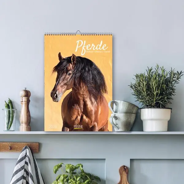 Bild: 9783731883623 | Pferde 2026 | Verlag Korsch | Kalender | Spiralbindung | 13 S. | 2026