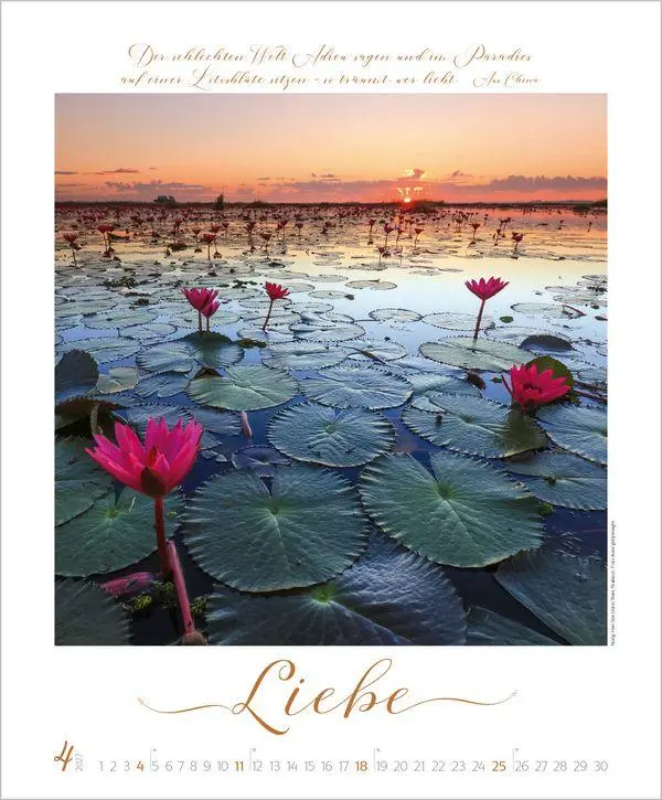 Bild: 9783819303623 | Buddhistische Weisheiten 2027 | Verlag Korsch | Kalender | 14 S.