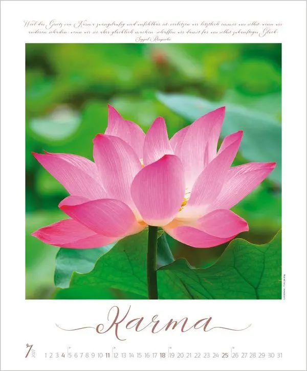 Bild: 9783819303623 | Buddhistische Weisheiten 2027 | Verlag Korsch | Kalender | 14 S.