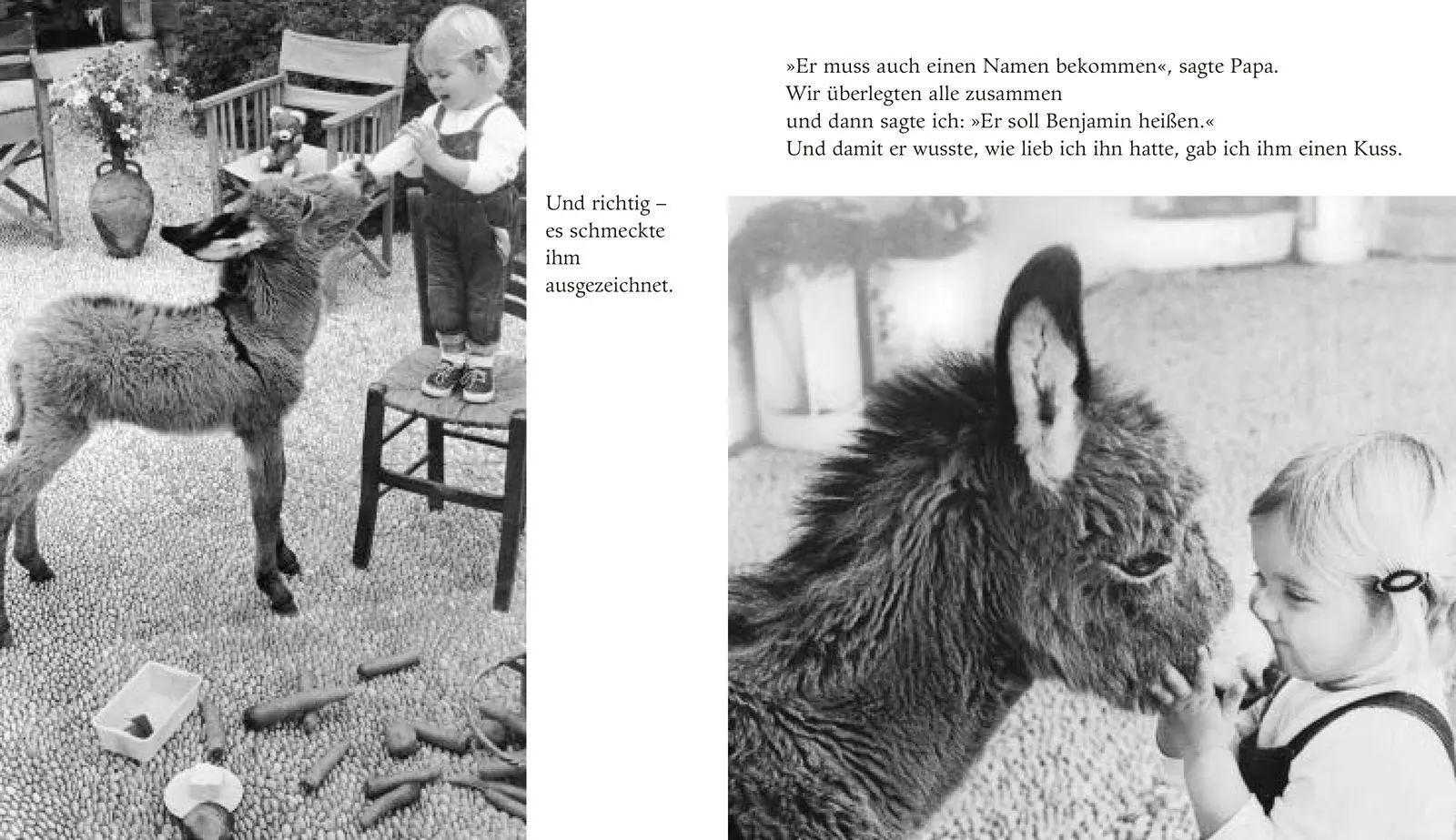 Bild: 9783737363723 | Mein Esel Benjamin | Mini-Bilderbuch | Lennart Osbeck | Buch | 48 S.