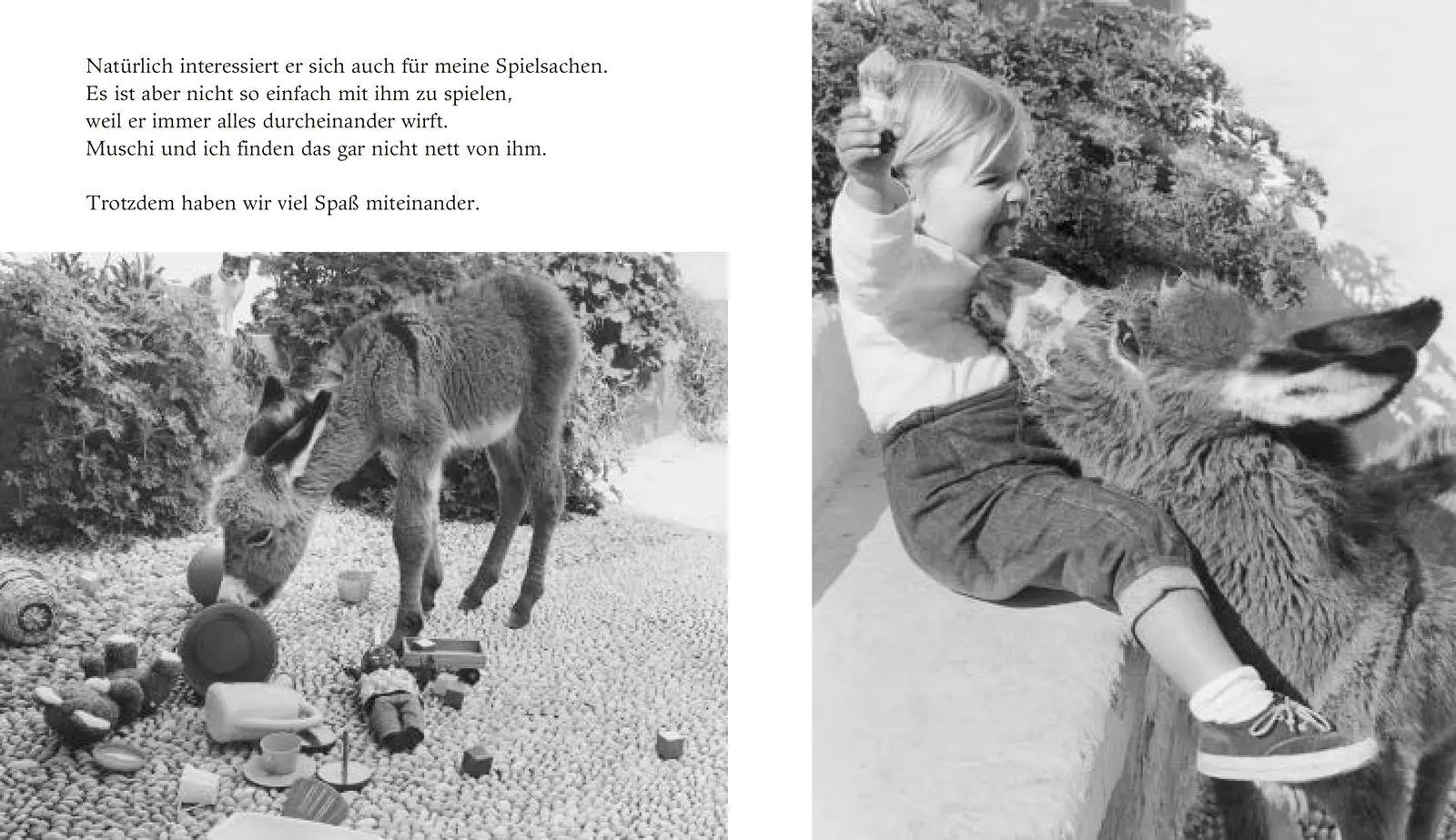 Bild: 9783737363723 | Mein Esel Benjamin | Mini-Bilderbuch | Lennart Osbeck | Buch | 48 S.
