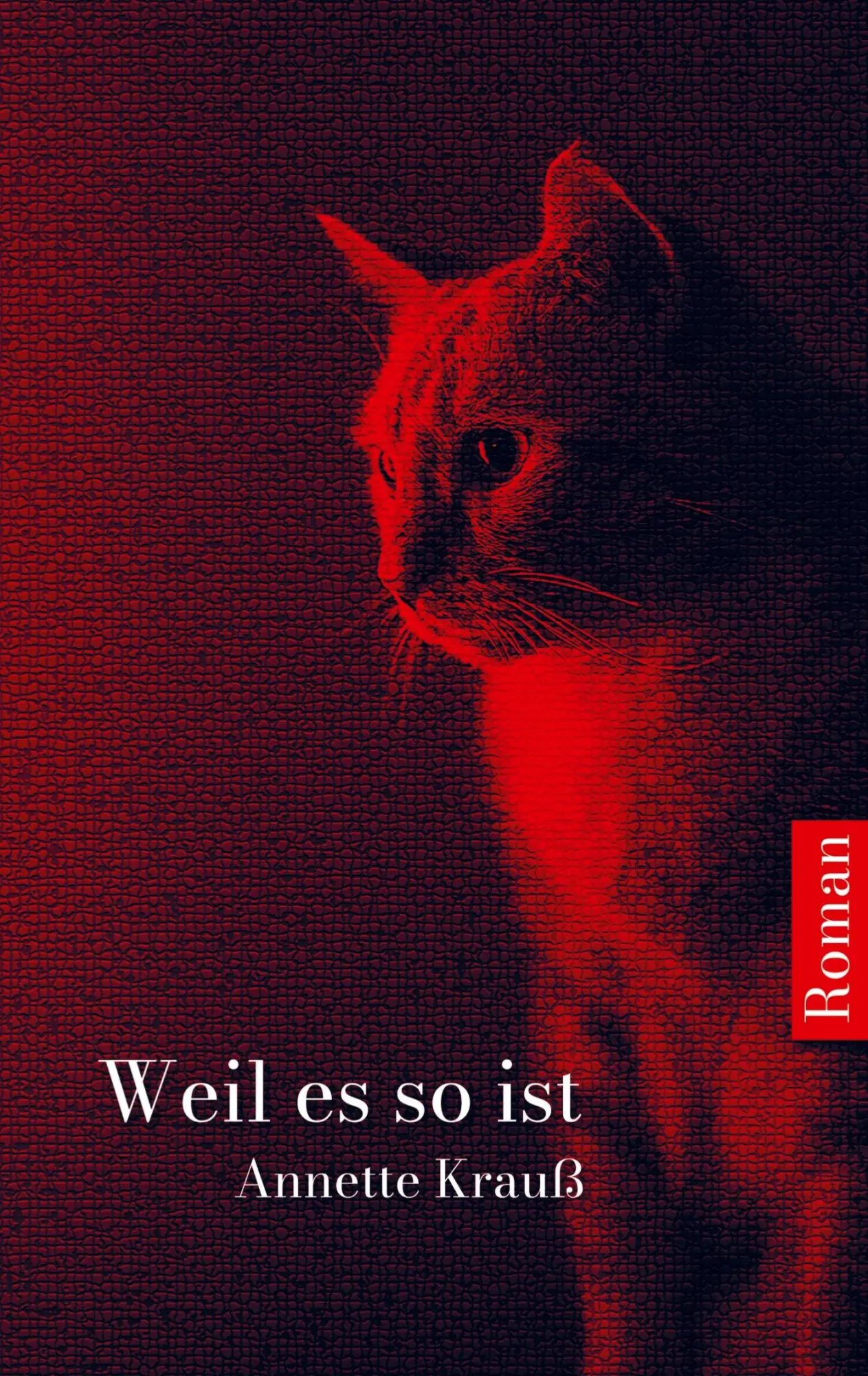 Cover: 9789403653723 | Weil es so ist | Annette Krauß | Taschenbuch | 248 S. | Deutsch | 2022