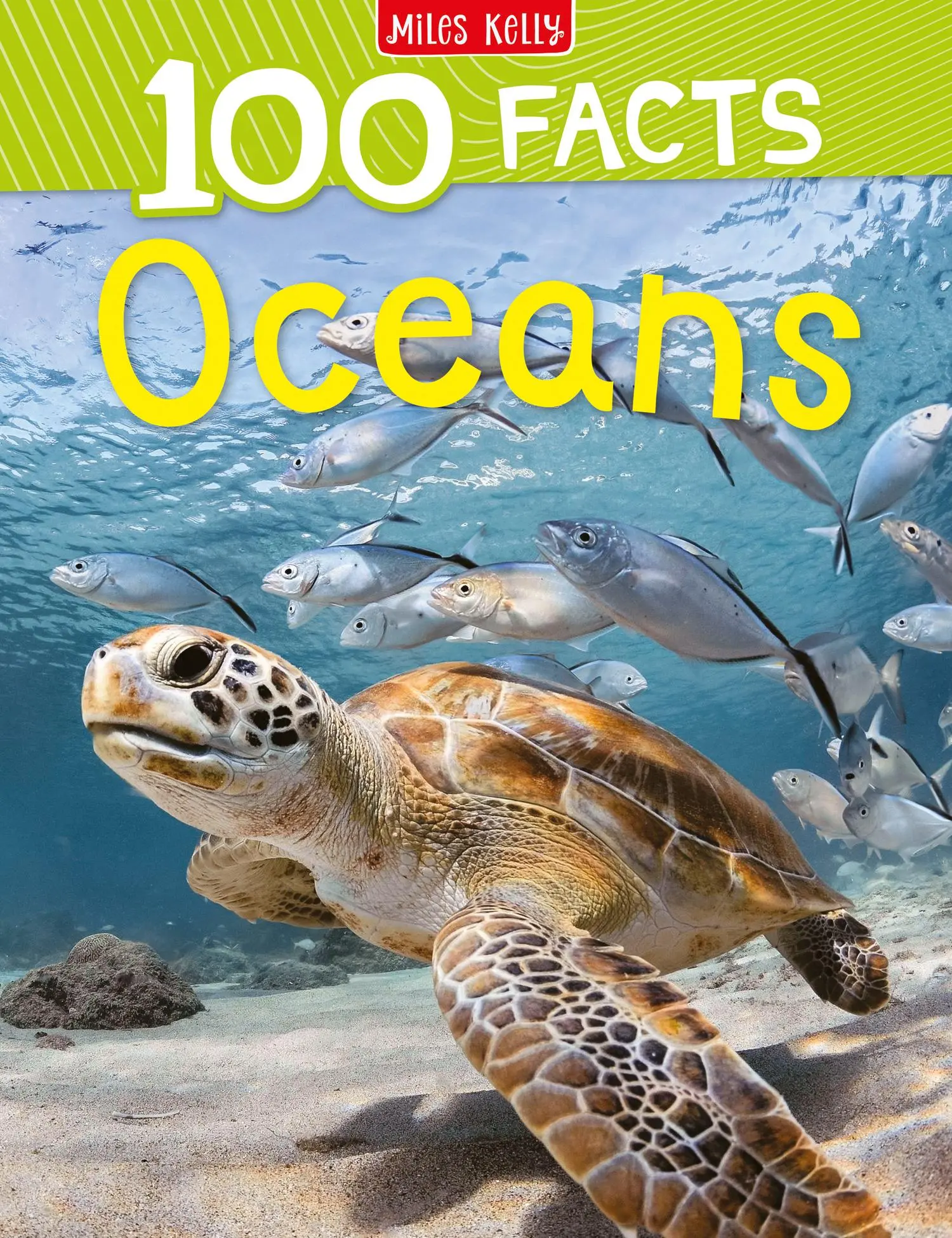 Cover: 9781789893823 | 100 Facts Oceans | Clare Oliver | Taschenbuch | Englisch | 2021