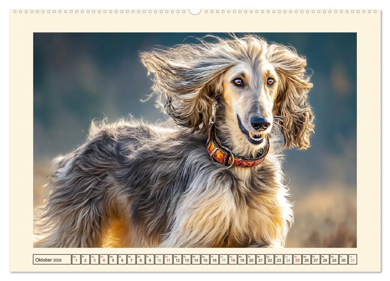 Bild: 9783516583823 | Afghanischer Windhund. Eleganter Sichtjäger und sensibler...