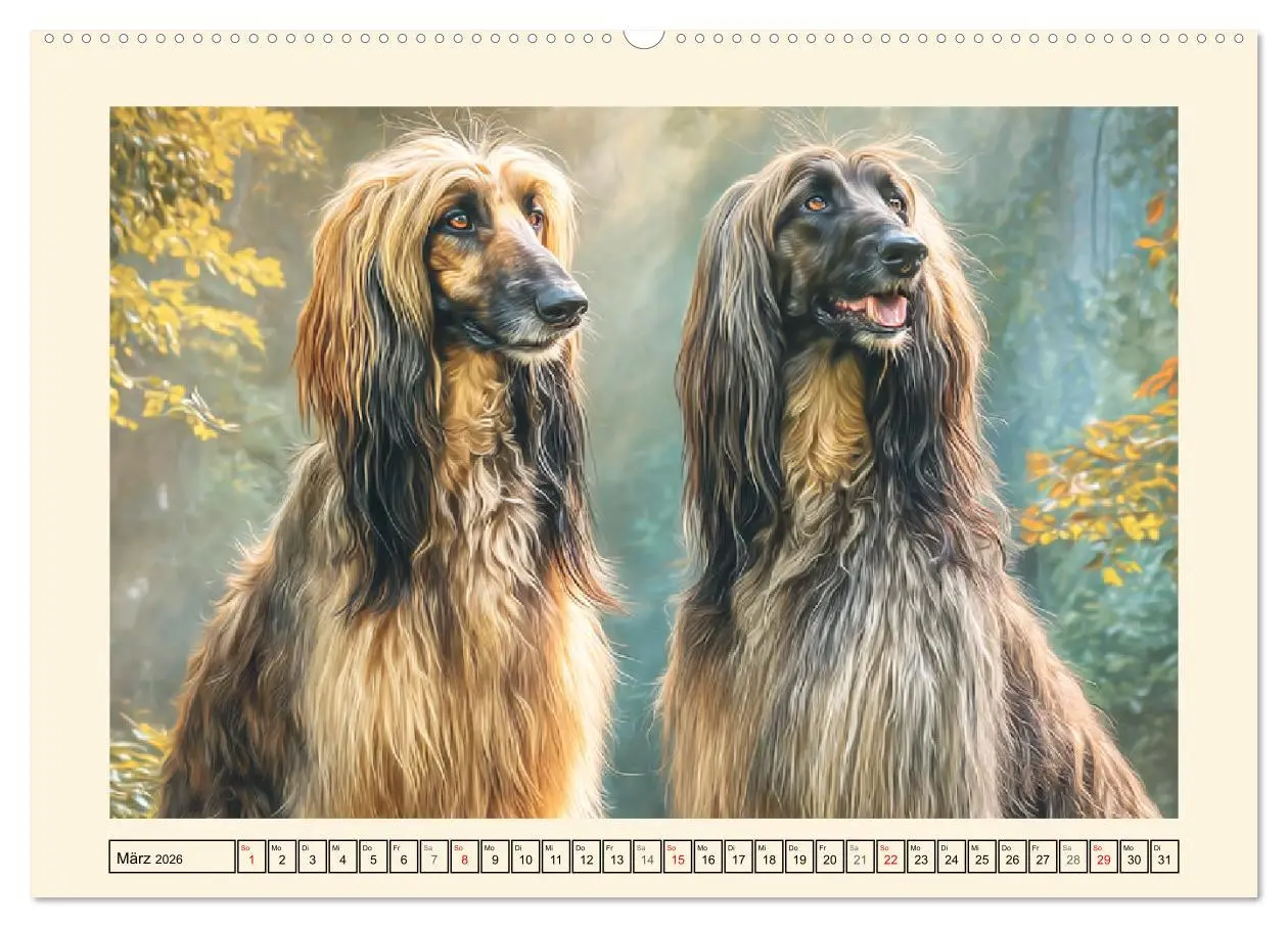 Bild: 9783516583823 | Afghanischer Windhund. Eleganter Sichtjäger und sensibler...