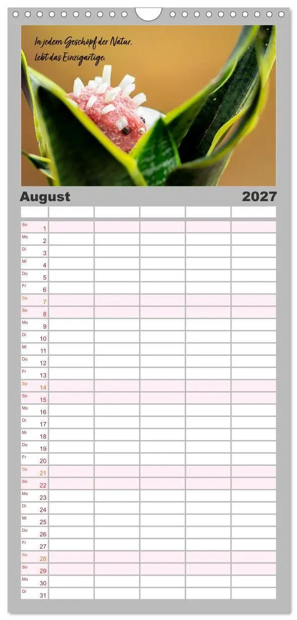 Bild: 9783594323823 | Familienplaner 2027 - Mettkalender - Mettigel Edition mit 5 Spalten...