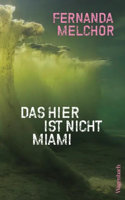 Cover: 9783803133823 | Das hier ist nicht Miami | Crónicas | Fernanda Melchor | Taschenbuch