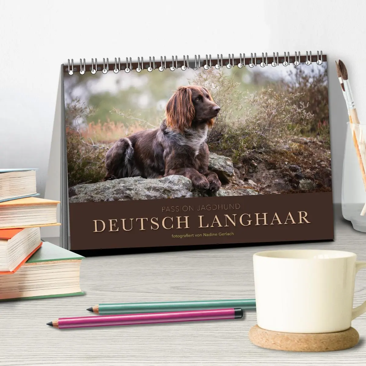 Bild: 9783457553923 | Passion Jagdhund - Deutsch Langhaar (Tischkalender 2026 DIN A5...
