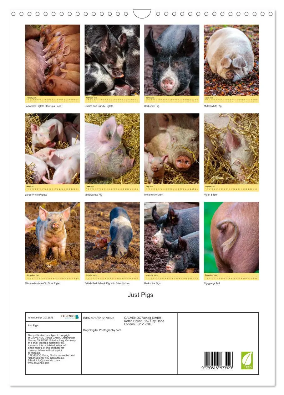 Bild: 9783516573923 | Just Pigs (Wall Calendar 2026 DIN A3 portrait), CALVENDO 12 Month...