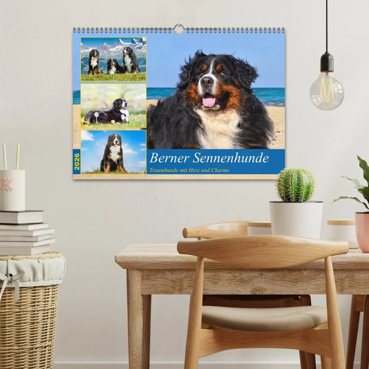 Bild: 9783457514023 | Berner Sennenhunde - Traumhunde mit Charme (Wandkalender 2026 DIN...