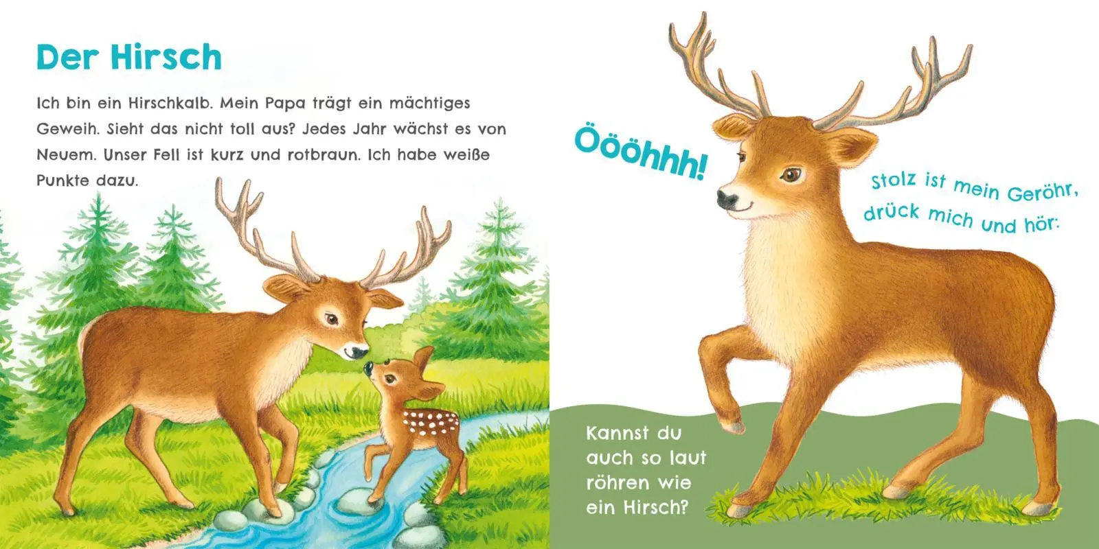 Bild: 9783551254023 | Hör mal, wie ich keckern kann (Mein erstes Streichel-Soundbuch 3)