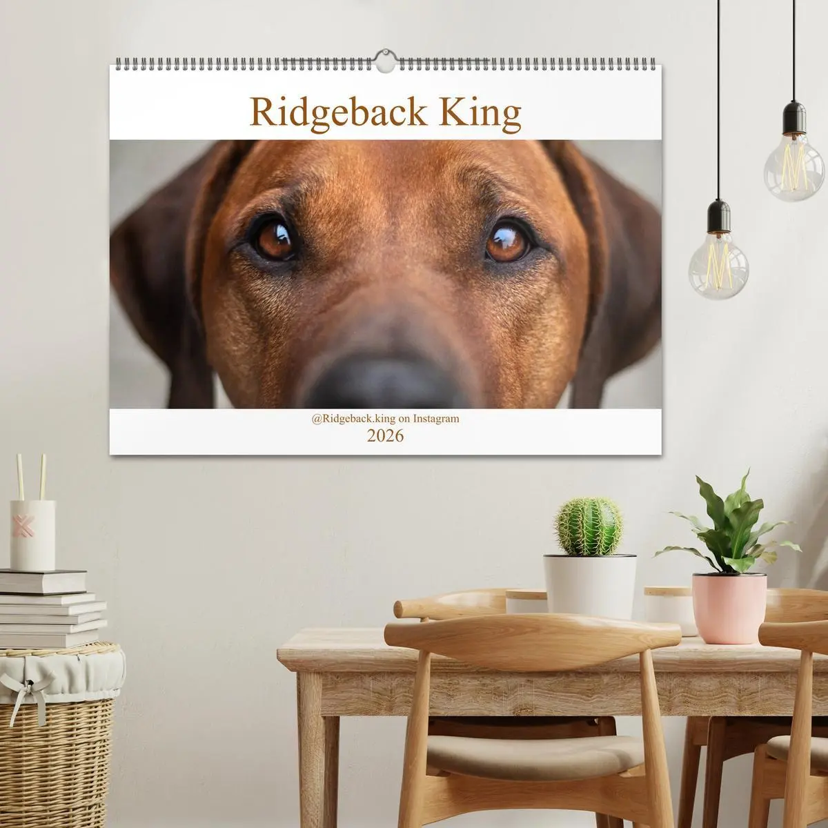 Bild: 9783457804223 | Ridgeback King (Wandkalender 2026 DIN A2 quer), CALVENDO...