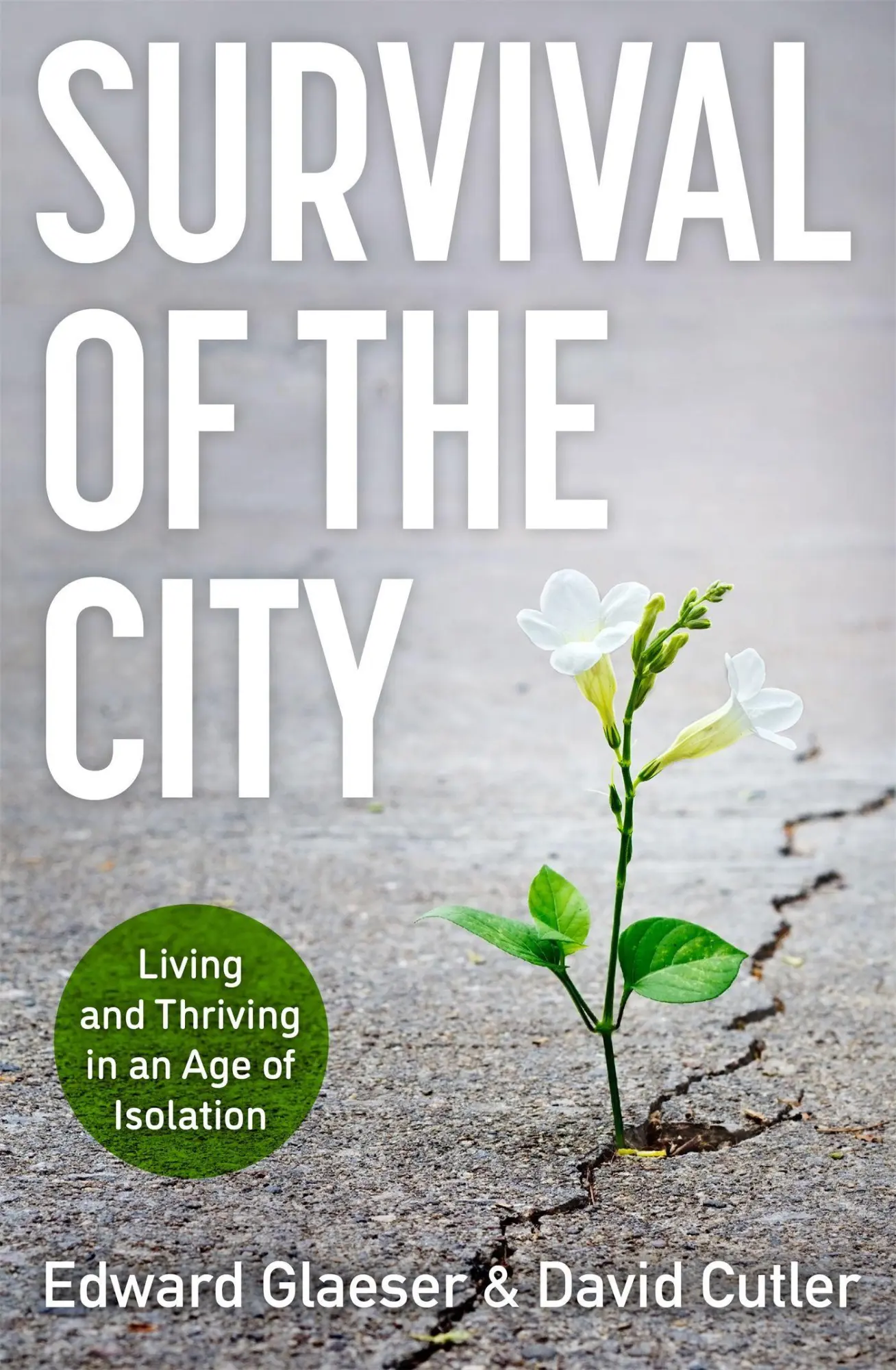 Cover: 9781529364323 | Survival of the City | Living and Thriving in an Age of Isolation