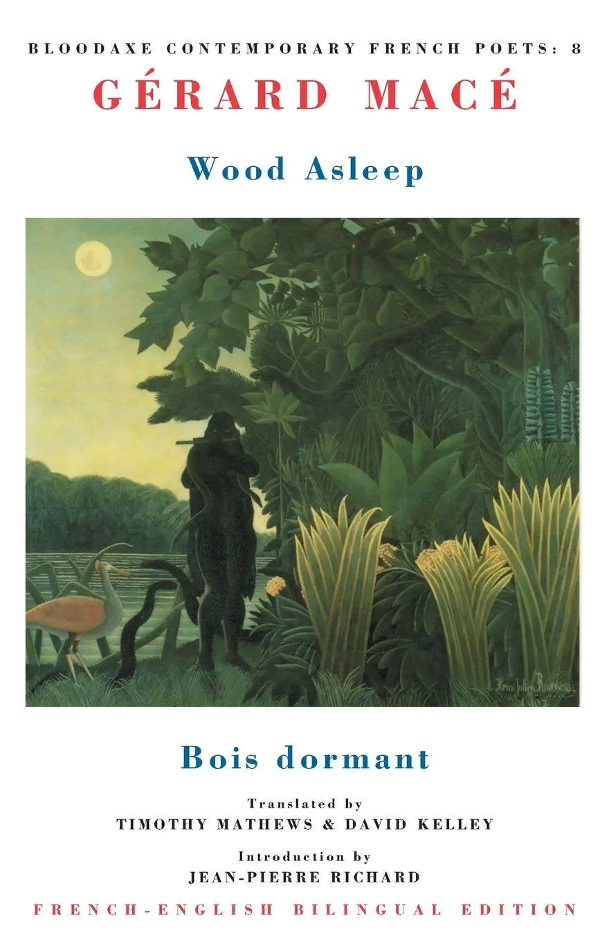 Cover: 9781852244323 | Wood Asleep | Bois Dormant | Gérard Macé | Taschenbuch | Englisch