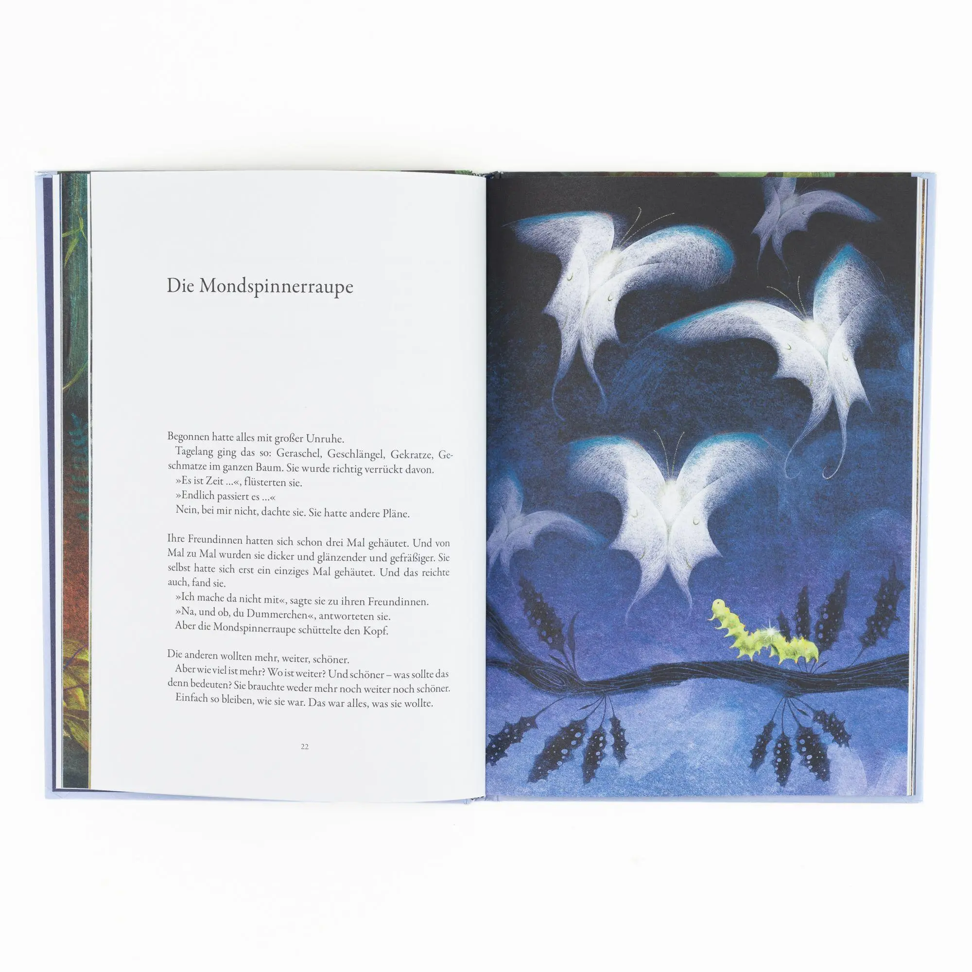 Bild: 9783312014323 | Der Baum, der eine Welt war | Yorick Goldewijk | Buch | 80 S. | 2025