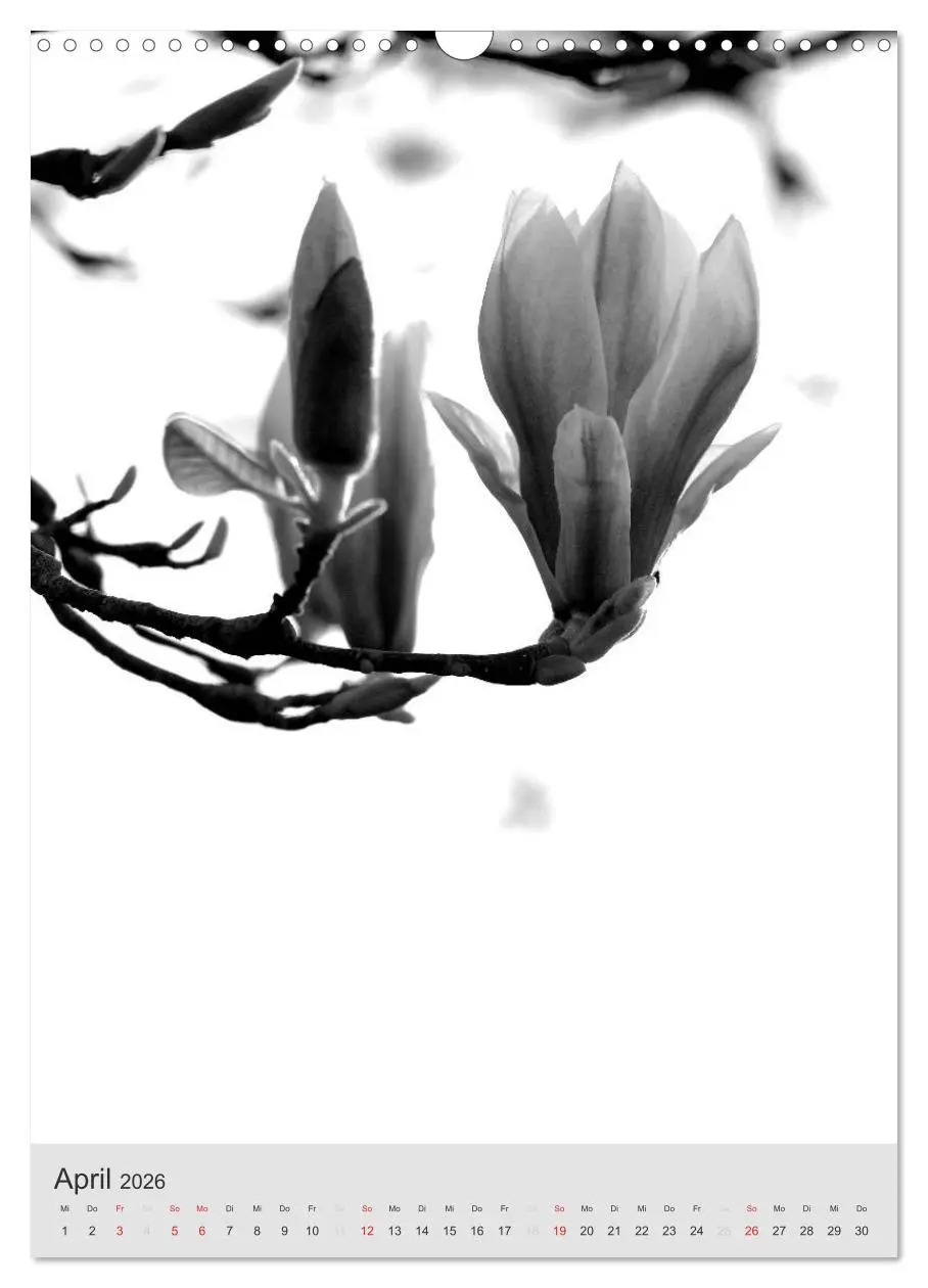 Bild: 9783516434323 | Monochrome Blüten - In Schwarz-Weiß Bildern durch das Jahr...