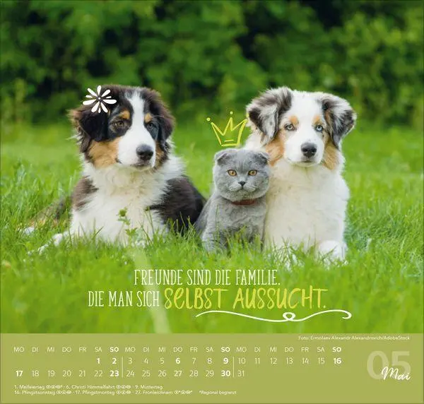 Bild: 9783819304323 | Du bist mein Herzensmensch 2027 | Verlag Korsch | Kalender | 1 S.